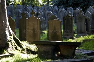 c28-haworth august 22 2010 image 3 sm.jpg